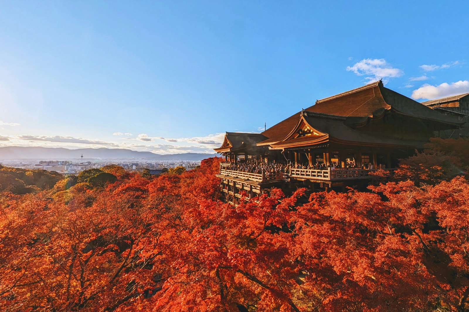Kyoto temple framed by autumn maple leaves